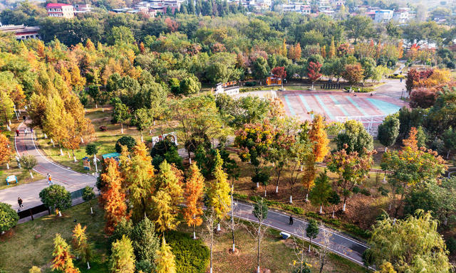 城市公园  自然生态