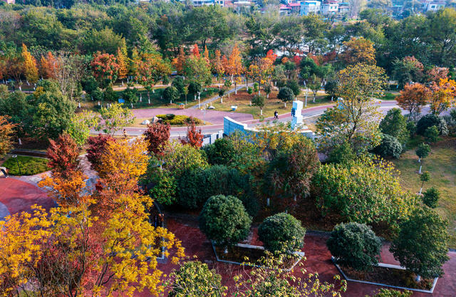 城市公园  自然生态