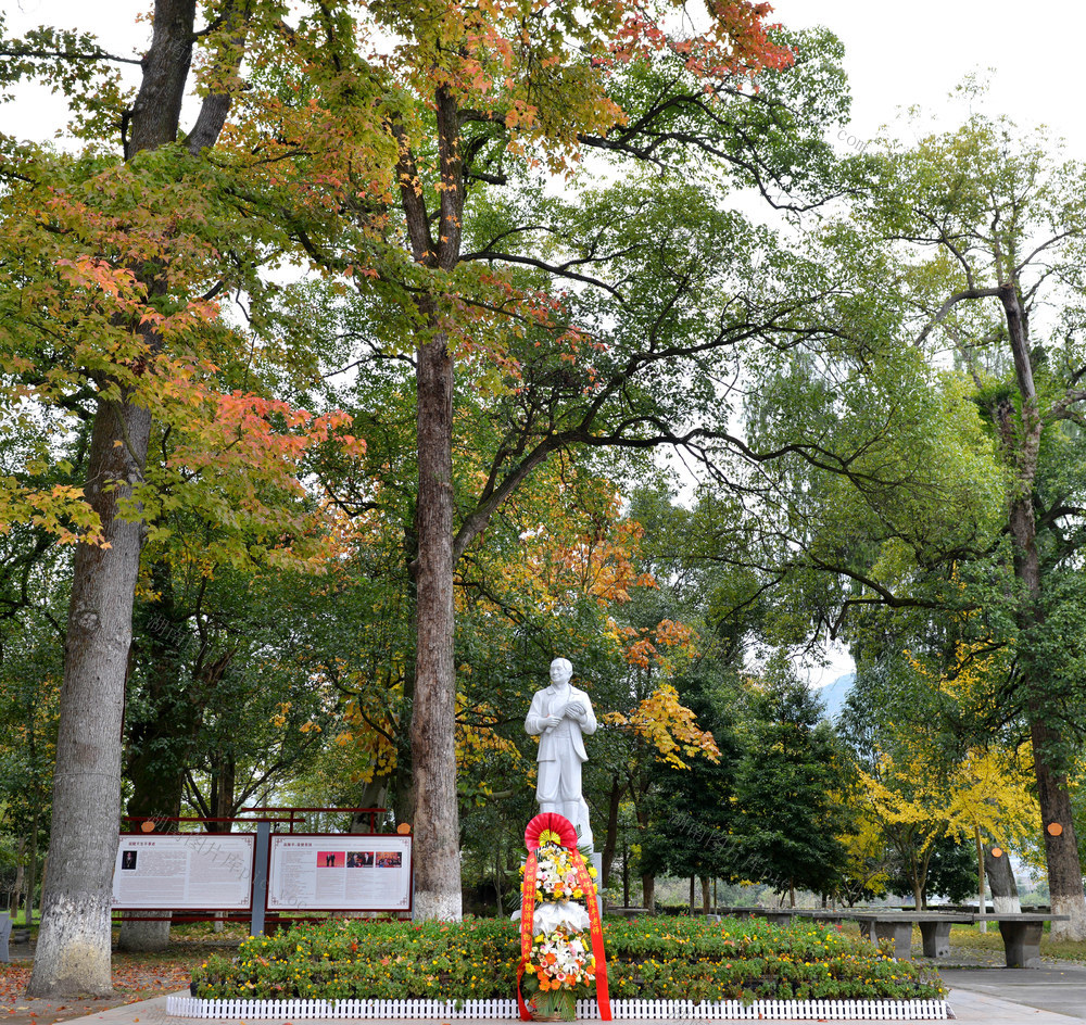 纪念园  枫叶红
