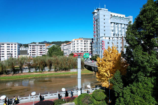 湖南桂东 黄金甲 罗霄广场 银杏