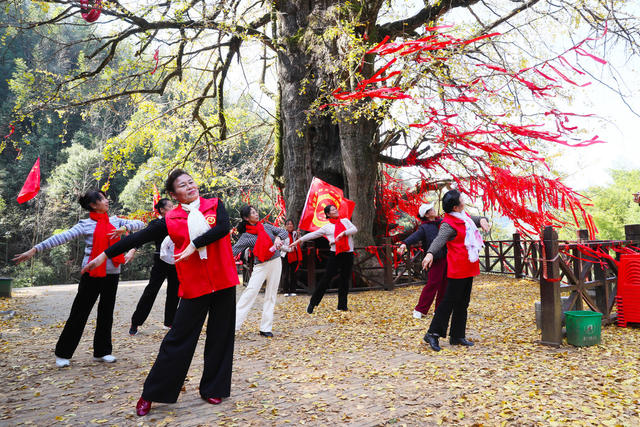银杏  舞蹈  健身  景区