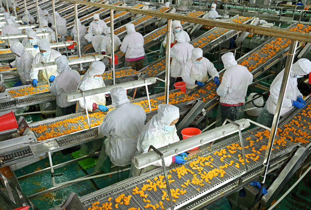 农产品 深加工 市场渠道 农民增收 食品 企业生产 柑橘  罐头 农产品增值