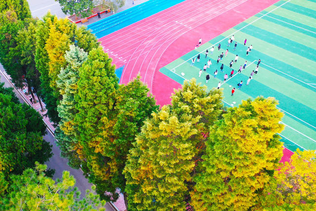 校园  风景  冬日  运动