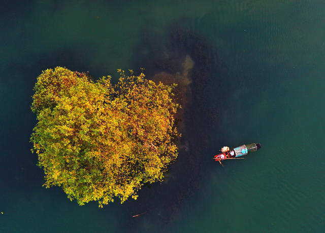嘉禾：钟水河畔生态美