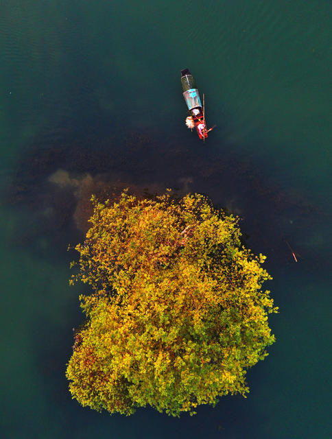 嘉禾：钟水河畔生态美