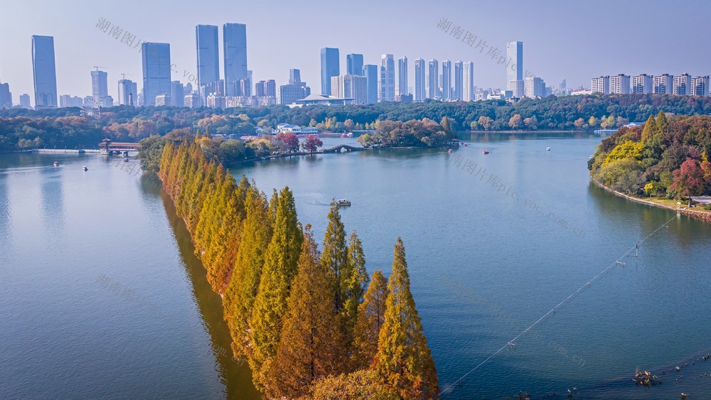 长沙风景 烈士公园  年嘉湖  初冬  水杉大道