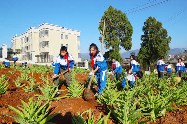 劳动  实践  劳作  研学  课程