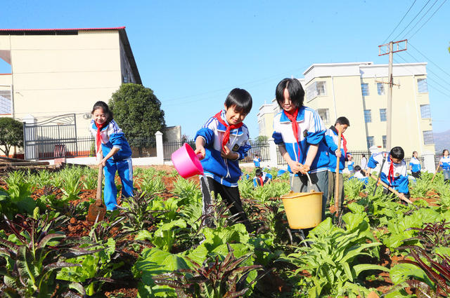 劳动  实践  劳作  研学  课程