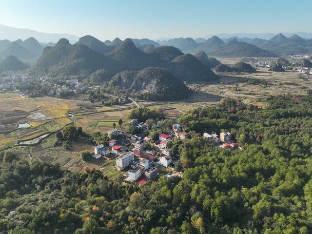特色产业 脐橙 道县 和美乡村