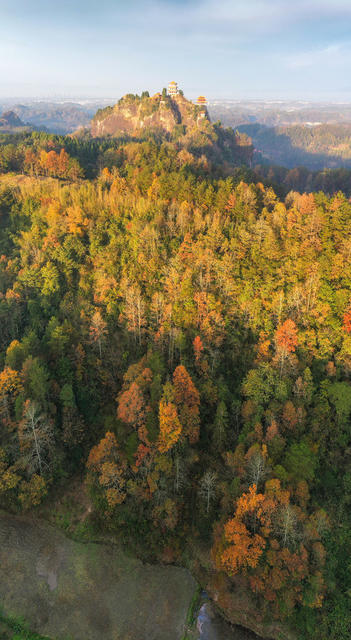 湘西，景区，太平山，冬景，色彩，