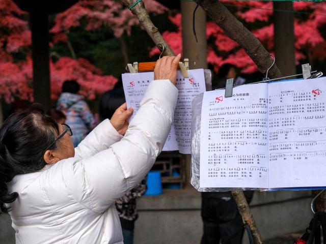 老人，暖冬，歌友