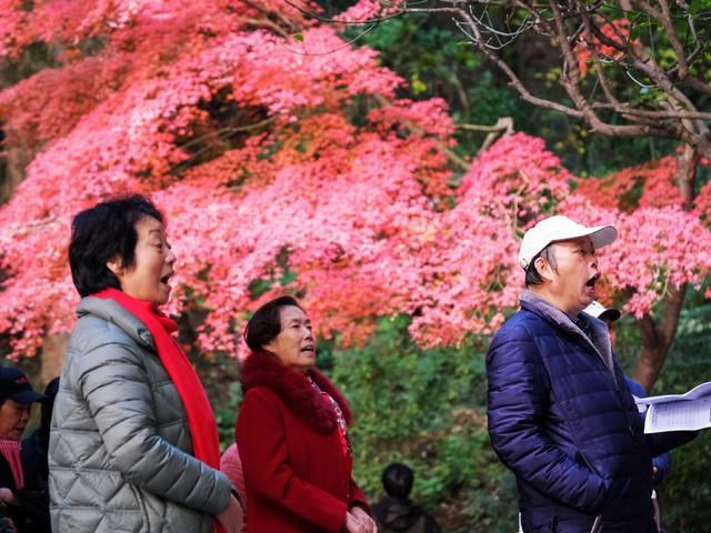 老人，暖冬，歌友