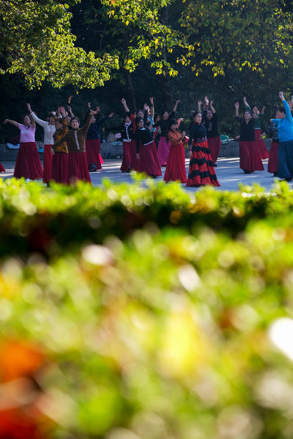 老人，暖冬，歌友