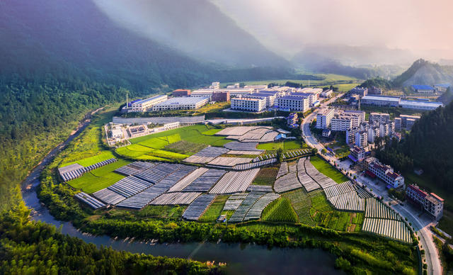  Industrial Park Guanxia Xiangshang Industrial Park Grape Agriculture