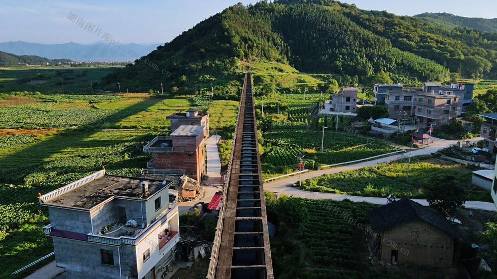 抗旱