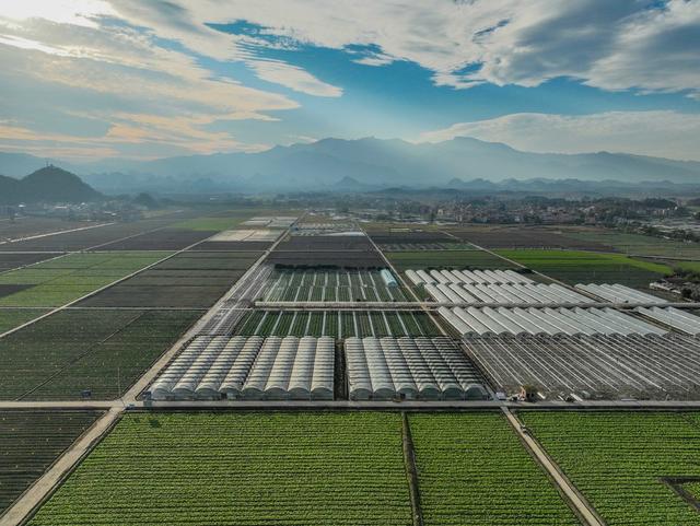 农业 大棚 设施农业 道县