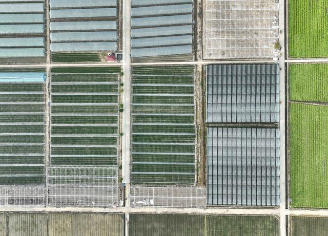 农业 大棚 设施农业 道县