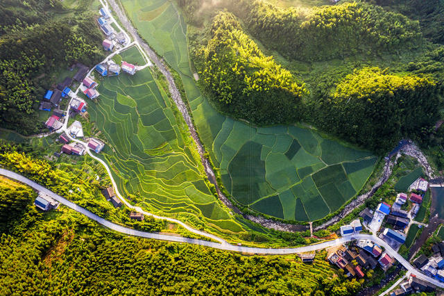 乡村 山水 田园 村庄 道路 阳光 绿色 
