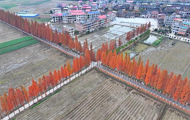湖南  常宁  乡村  公路  美景