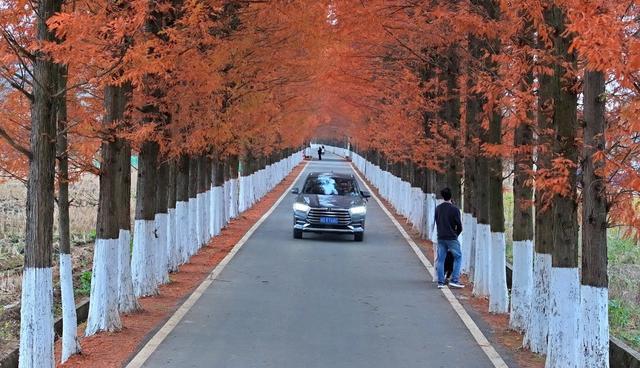 湖南  常宁  乡村  公路  美景