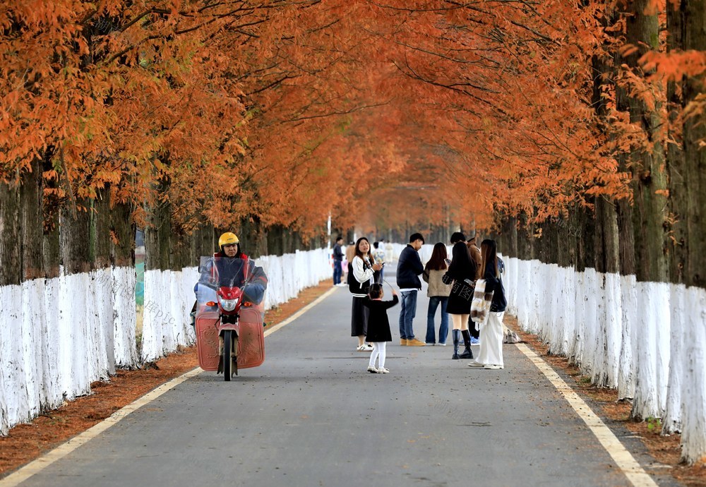 湖南  常宁  乡村  公路  美景