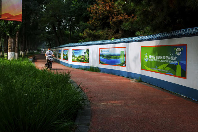 运河 北运河 北京 通州 河水 船只 码头 阳光 花草 