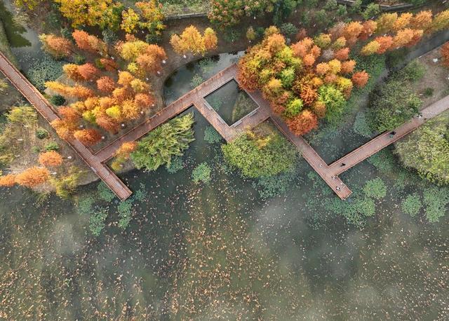 冬色 道县 暖阳 休闲 公园