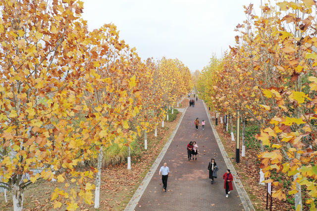 口袋 公园 冬色