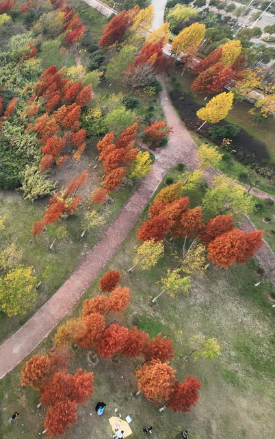 三江六岸 风光带 休闲 美景 初冬