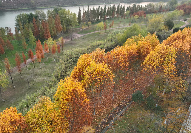 三江六岸 风光带 休闲 美景 初冬