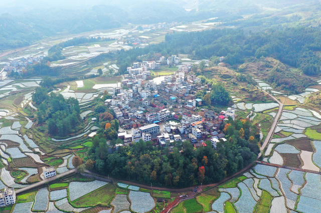 临武：产业兴  田园美