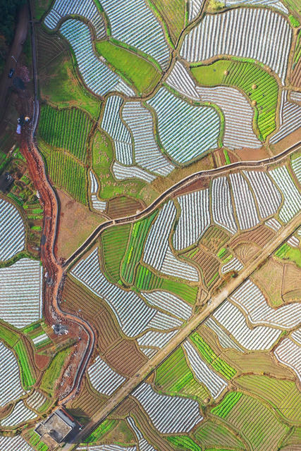 临武：产业兴  田园美