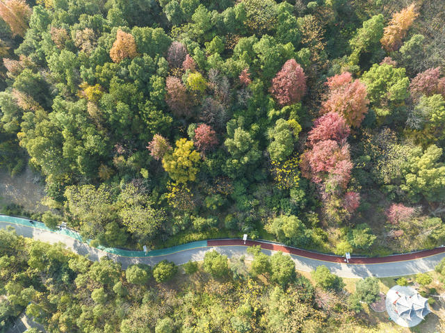 娄星区 冬日 景色美 珠山公园 景色宜人