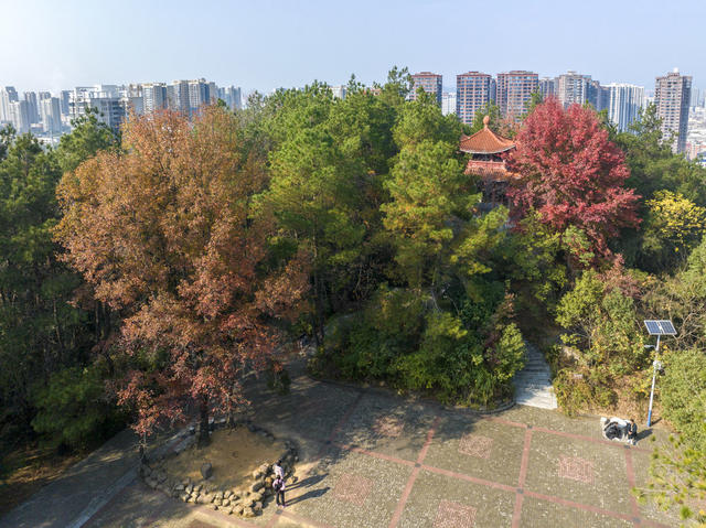 娄星区 冬日 景色美 珠山公园 景色宜人