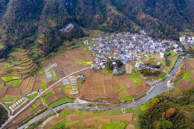 农村  农忙  种植  冬日  