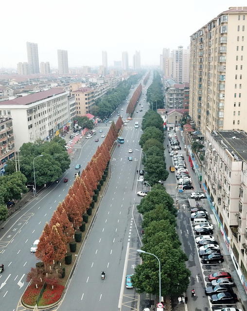  Shooting the road view of Changchun intersection