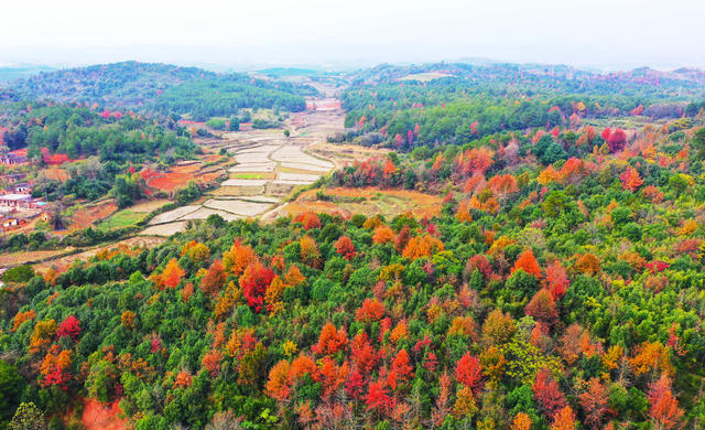 乡村  初冬  美景  色彩斑斓