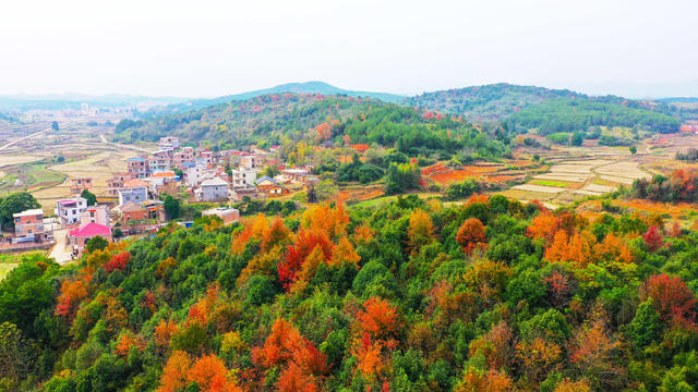 乡村  初冬  美景  色彩斑斓