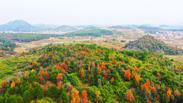乡村  初冬  美景  色彩斑斓