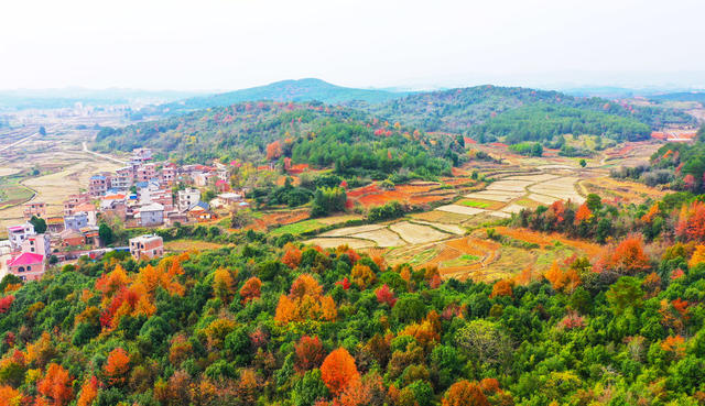 乡村  初冬  美景  色彩斑斓