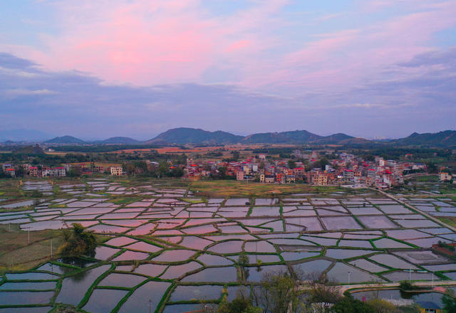 鱼塘 经济 乡村