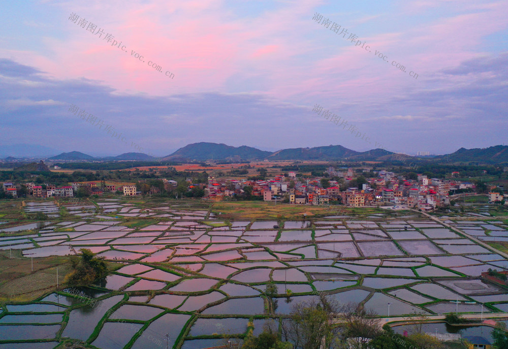 鱼塘 经济 乡村