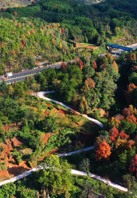 蓝山：路畅景美