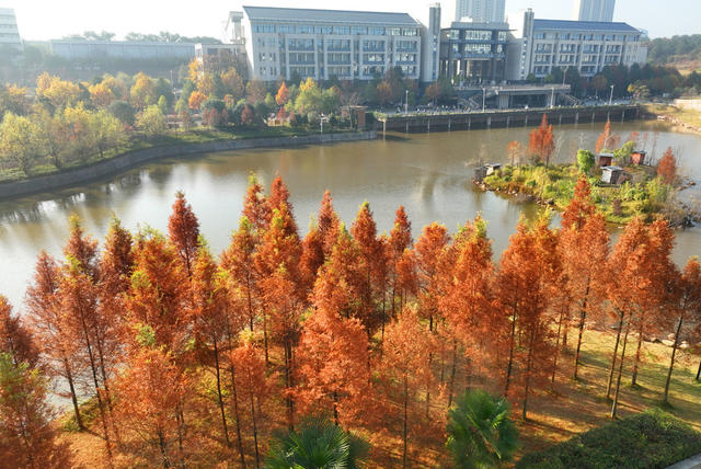 校园 风景 冬日 画卷