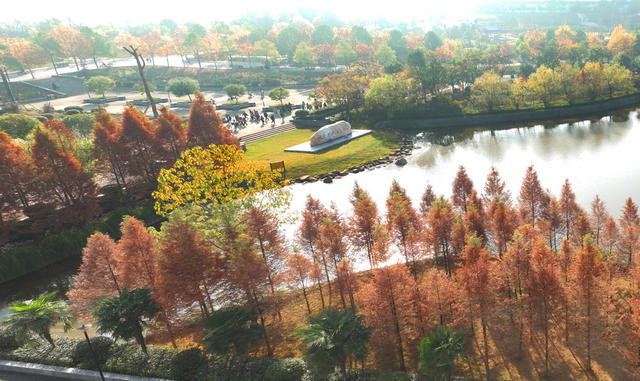 校园 风景 冬日 画卷