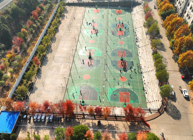 校园 风景 冬日 画卷