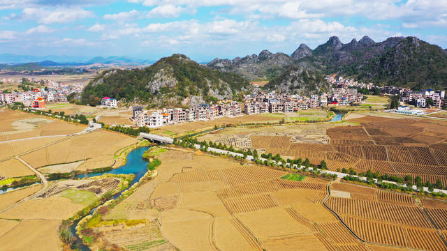 田园  美景  冬耕  