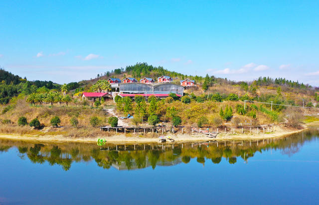 乡村  生态  风景  
