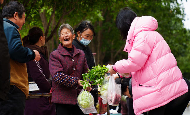 社会治理 便民摊点 柔性执法