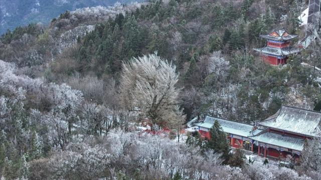 大熊山景区 大熊山 冰雪雾凇 冰雪 降温